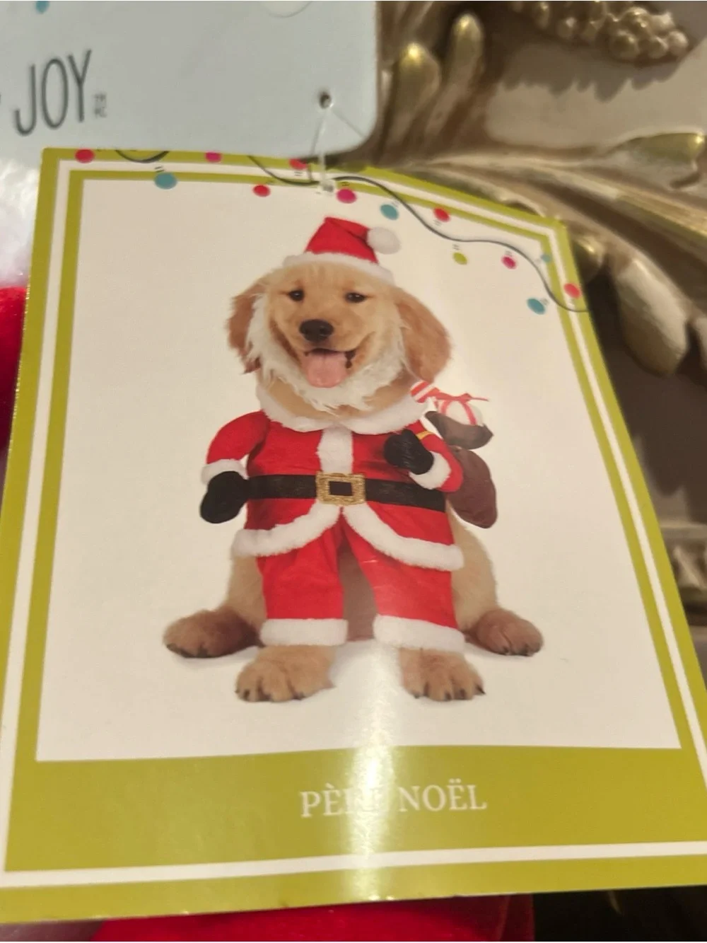 NWT Jingles & Joy Plush Santa Dog Costume - Red & White